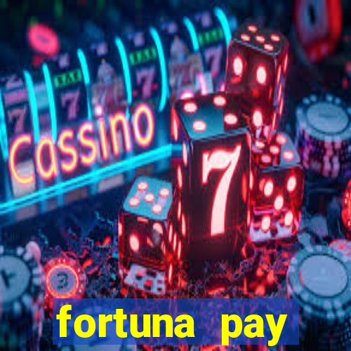 fortuna pay consultoria financeira ltda